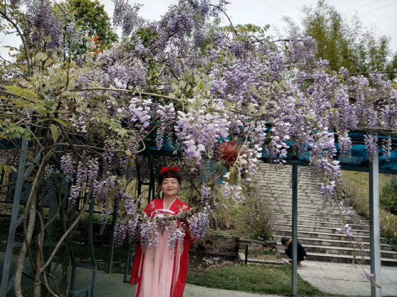 莉莉的第一张照片--泰宁婚介网