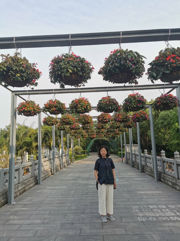 一叶知秋的第二张照片--泰宁婚介网