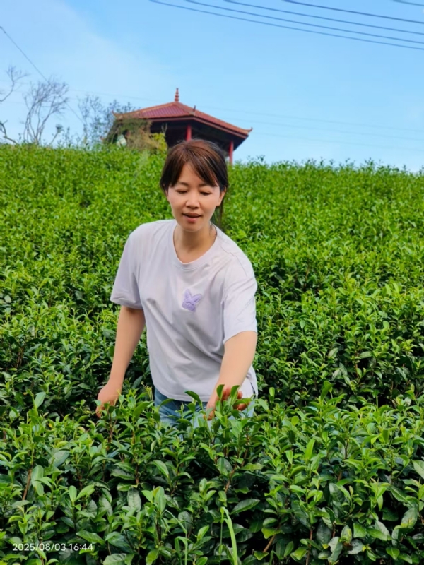 Q绮芳的第一张照片--泰宁婚介网